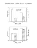 Thin Film Composite Membrane Structures diagram and image