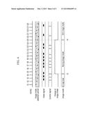 DISPLAY DRIVER, METHOD FOR DRIVING DISPLAY DRIVER, AND IMAGE DISPLAY     SYSTEM diagram and image