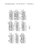 TUNABLE OPTICAL  METAMATERIAL diagram and image