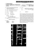 SYSTEM AND METHOD FOR DETECTING CARGO CONTAINER SEALS diagram and image