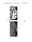 SYSTEM AND METHOD FOR DETECTING CARGO CONTAINER SEALS diagram and image