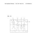 METHOD AND APPARATUS FOR PROCESSING DIGITAL IMAGES diagram and image