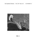 CARBON NANOTUBES HAVING A BIMODAL SIZE DISTRIBUTION diagram and image