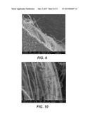 CARBON NANOTUBES HAVING A BIMODAL SIZE DISTRIBUTION diagram and image