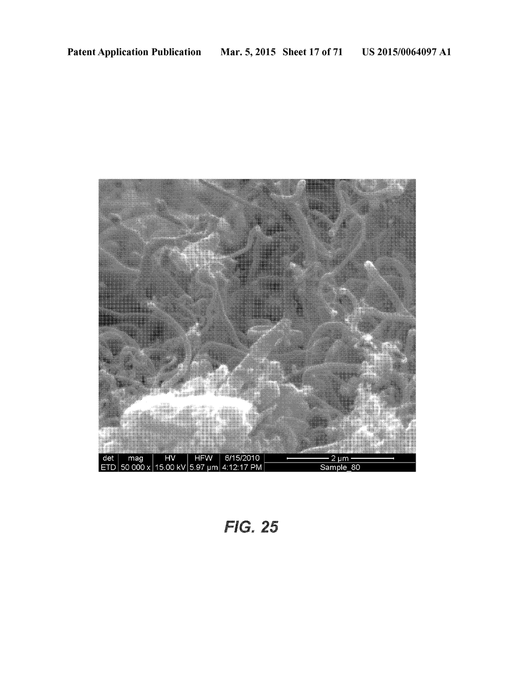 CARBON NANOTUBES HAVING A BIMODAL SIZE DISTRIBUTION - diagram, schematic, and image 18