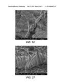 CARBON NANOTUBES HAVING A BIMODAL SIZE DISTRIBUTION diagram and image