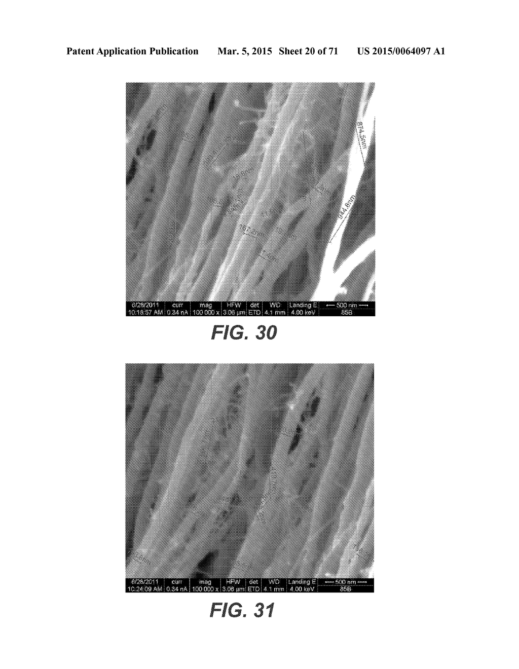 CARBON NANOTUBES HAVING A BIMODAL SIZE DISTRIBUTION - diagram, schematic, and image 21