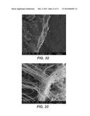 CARBON NANOTUBES HAVING A BIMODAL SIZE DISTRIBUTION diagram and image