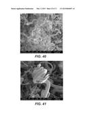 CARBON NANOTUBES HAVING A BIMODAL SIZE DISTRIBUTION diagram and image