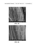 CARBON NANOTUBES HAVING A BIMODAL SIZE DISTRIBUTION diagram and image