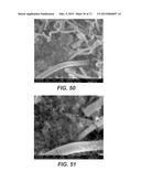 CARBON NANOTUBES HAVING A BIMODAL SIZE DISTRIBUTION diagram and image