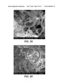 CARBON NANOTUBES HAVING A BIMODAL SIZE DISTRIBUTION diagram and image