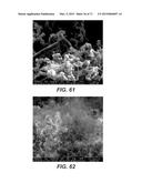 CARBON NANOTUBES HAVING A BIMODAL SIZE DISTRIBUTION diagram and image