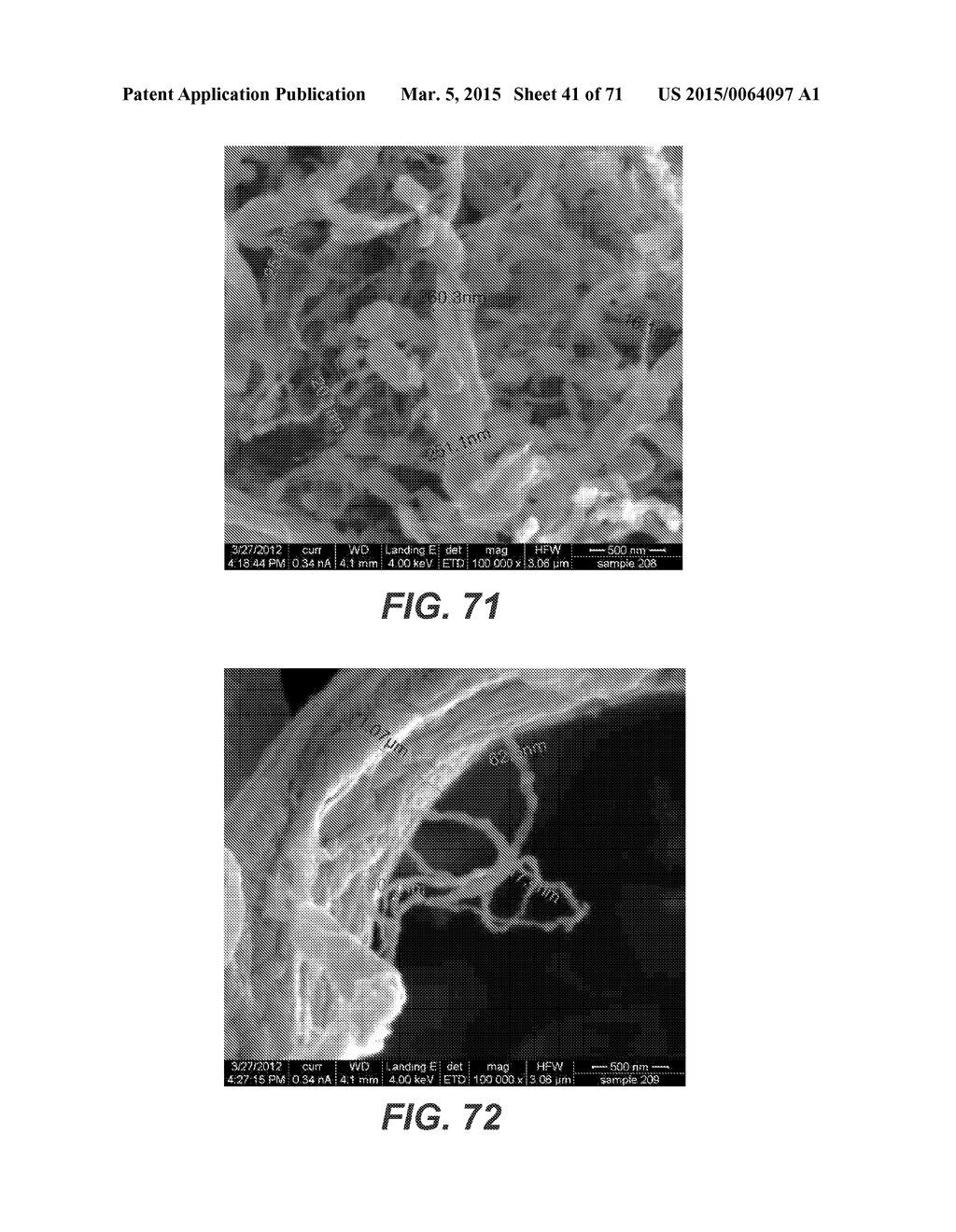 CARBON NANOTUBES HAVING A BIMODAL SIZE DISTRIBUTION - diagram, schematic, and image 42