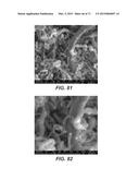 CARBON NANOTUBES HAVING A BIMODAL SIZE DISTRIBUTION diagram and image