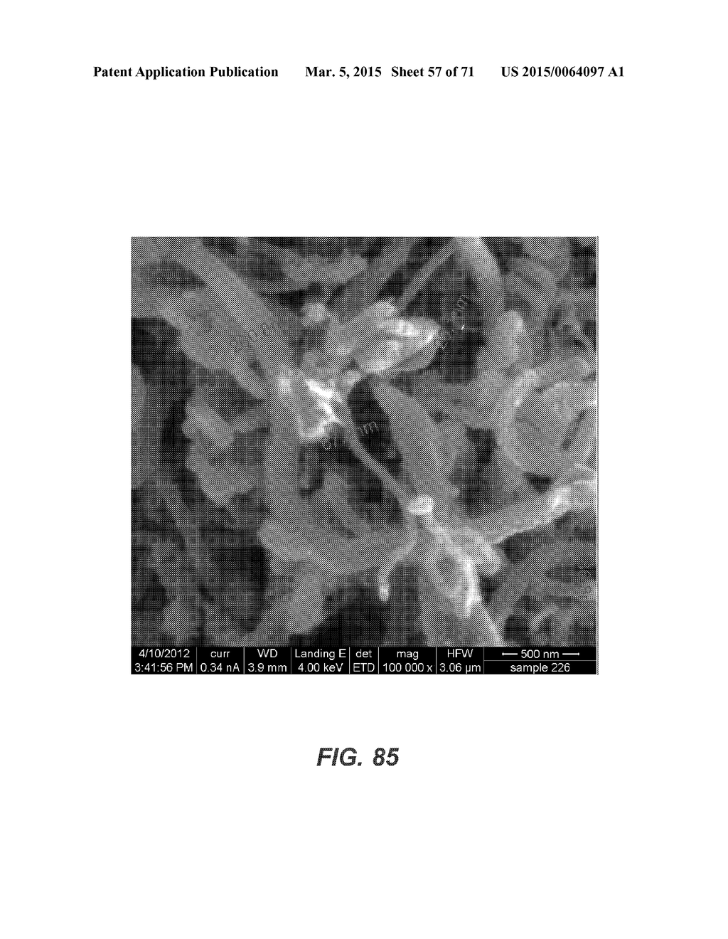 CARBON NANOTUBES HAVING A BIMODAL SIZE DISTRIBUTION - diagram, schematic, and image 58