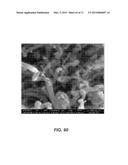 CARBON NANOTUBES HAVING A BIMODAL SIZE DISTRIBUTION diagram and image