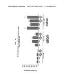 COMPOSITIONS AND METHODS FOR PREVENTING OR TREATING DISEASES, CONDITIONS,     OR PROCESSES CHARACTERIZED BY ABERRANT FIBROBLAST PROLIFERATION AND     EXTRACELLULAR MATRIX DEPOSITION diagram and image