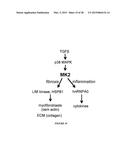 COMPOSITIONS AND METHODS FOR PREVENTING OR TREATING DISEASES, CONDITIONS,     OR PROCESSES CHARACTERIZED BY ABERRANT FIBROBLAST PROLIFERATION AND     EXTRACELLULAR MATRIX DEPOSITION diagram and image