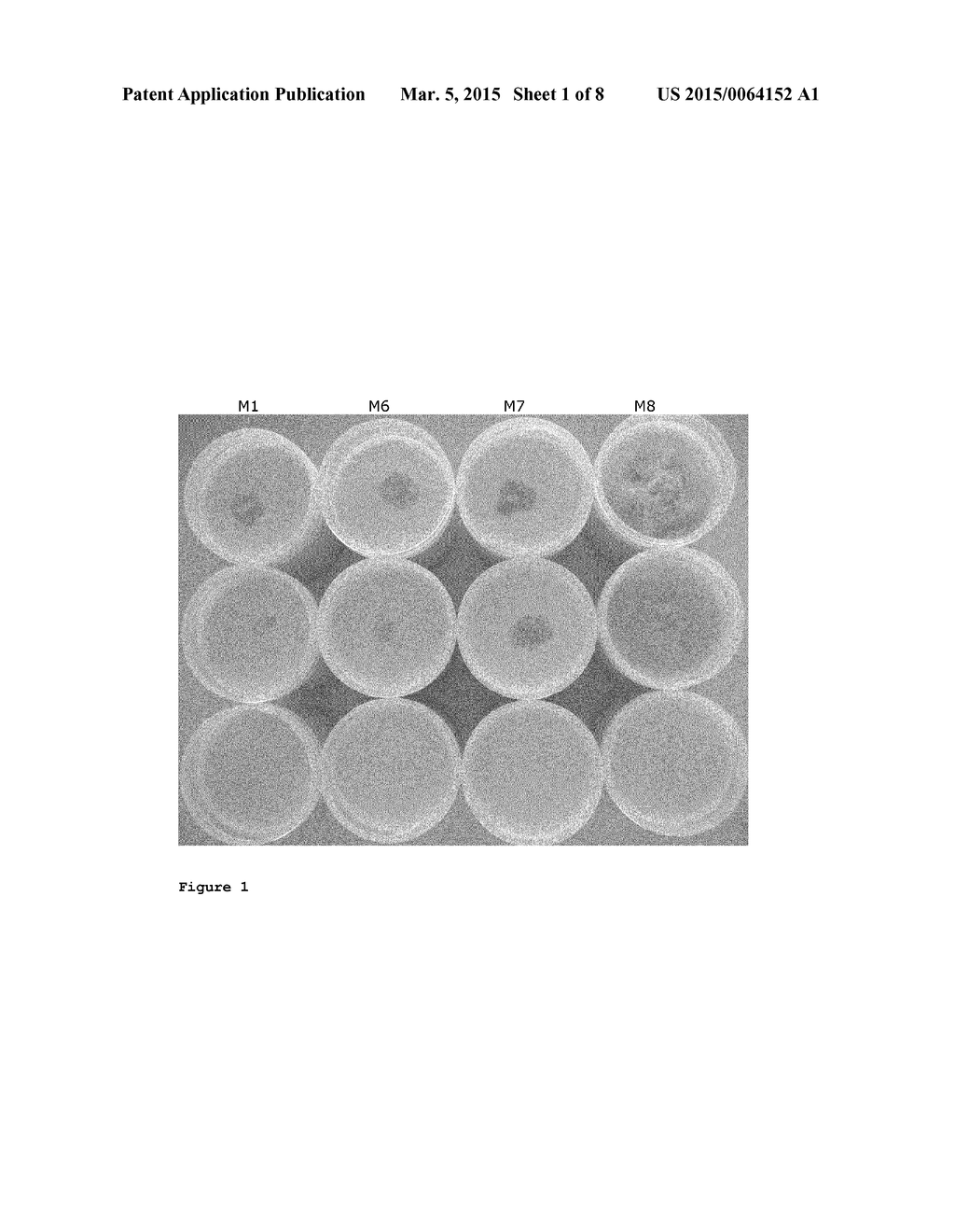 BIOPROTECTION USING LACTOBACILLUS PARACASEI STRAINS - diagram, schematic, and image 02