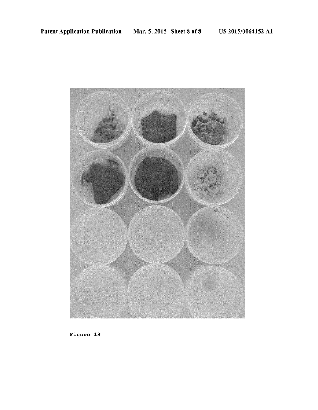 BIOPROTECTION USING LACTOBACILLUS PARACASEI STRAINS - diagram, schematic, and image 09