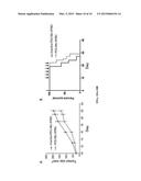 ADMINISTRATION OF KYNURENINE DEPLETING ENZYMES FOR TUMOR THERAPY diagram and image