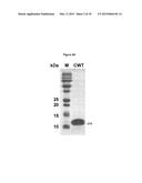 CHIMERIC BACTERIOPHAGE LYSIN WITH ACTIVITY AGAINST STAPHYLOCOCCI BACTERIA diagram and image