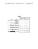 CHIMERIC BACTERIOPHAGE LYSIN WITH ACTIVITY AGAINST STAPHYLOCOCCI BACTERIA diagram and image