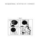 CHIMERIC BACTERIOPHAGE LYSIN WITH ACTIVITY AGAINST STAPHYLOCOCCI BACTERIA diagram and image