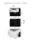 COMBINATIONS OF AKT INHIBITOR COMPOUNDS AND CHEMOTHERAEPTUC AGENTS, AND     METHODS OF USE diagram and image