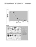 STABILIZED SINGLE DOMAIN ANTIBODIES diagram and image