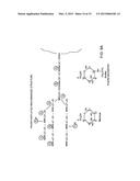 TARGETED THERAPEUTIC PROTEINS diagram and image