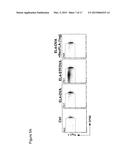 METHODS AND COMPOSITIONS FOR CANCER IMMUNOTHERAPY USING FLAGELLIN-TUMOR     ASSOCIATED ANTIGEN FUSION PROTEIN EXPRESSING TUMOR CELLS diagram and image