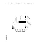 METHODS AND COMPOSITIONS FOR CANCER IMMUNOTHERAPY USING FLAGELLIN-TUMOR     ASSOCIATED ANTIGEN FUSION PROTEIN EXPRESSING TUMOR CELLS diagram and image