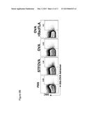 METHODS AND COMPOSITIONS FOR CANCER IMMUNOTHERAPY USING FLAGELLIN-TUMOR     ASSOCIATED ANTIGEN FUSION PROTEIN EXPRESSING TUMOR CELLS diagram and image