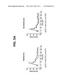 Biguanide Compositions and Methods of Treating Metabolic Disorders diagram and image