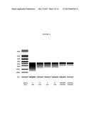 MODIFIED POLYNUCLEOTIDES FOR THE PRODUCTION OF PROTEINS diagram and image