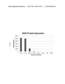 MODIFIED POLYNUCLEOTIDES FOR THE PRODUCTION OF PROTEINS diagram and image