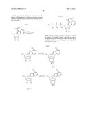 MODIFIED POLYNUCLEOTIDES FOR THE PRODUCTION OF PROTEINS diagram and image