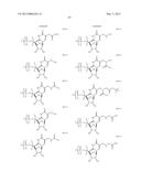 MODIFIED POLYNUCLEOTIDES FOR THE PRODUCTION OF PROTEINS diagram and image