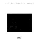 METALAXYL AND PROTHIOCONAZOLE COCRYSTALS AND METHODS OF MAKING AND USING diagram and image