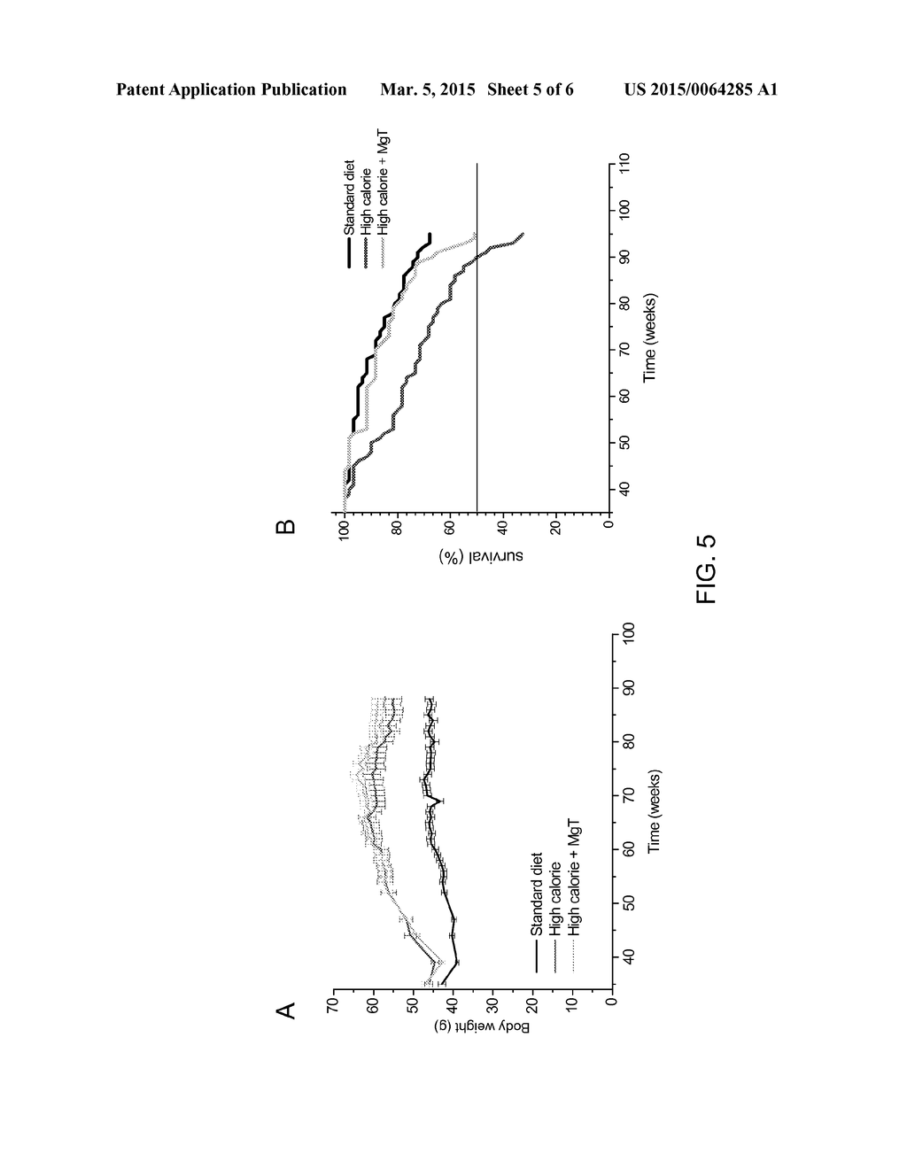 SLOW RELEASE MAGNESIUM COMPOSITION AND USES THEREOF - diagram, schematic, and image 06