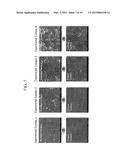 COATING MATERIAL FOR THERMAL SPRAY COATING, METHOD FOR PREPARING THE SAME,     AND METHOD FOR COATING WITH THE SAME diagram and image