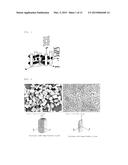 PRODUCTION METHOD OF ZEOLITE FILM IN WHICH ONE AXIS IS COMPLETELY     VERTICALLY ORIENTED, USING STEAM UNDER SYNTHETIC GEL-FREE CONDITION diagram and image