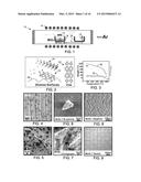 Seed for Metal Dichalcogenide Growth by Chemical Vapor Deposition diagram and image