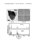 Seed for Metal Dichalcogenide Growth by Chemical Vapor Deposition diagram and image