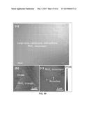 Seed for Metal Dichalcogenide Growth by Chemical Vapor Deposition diagram and image