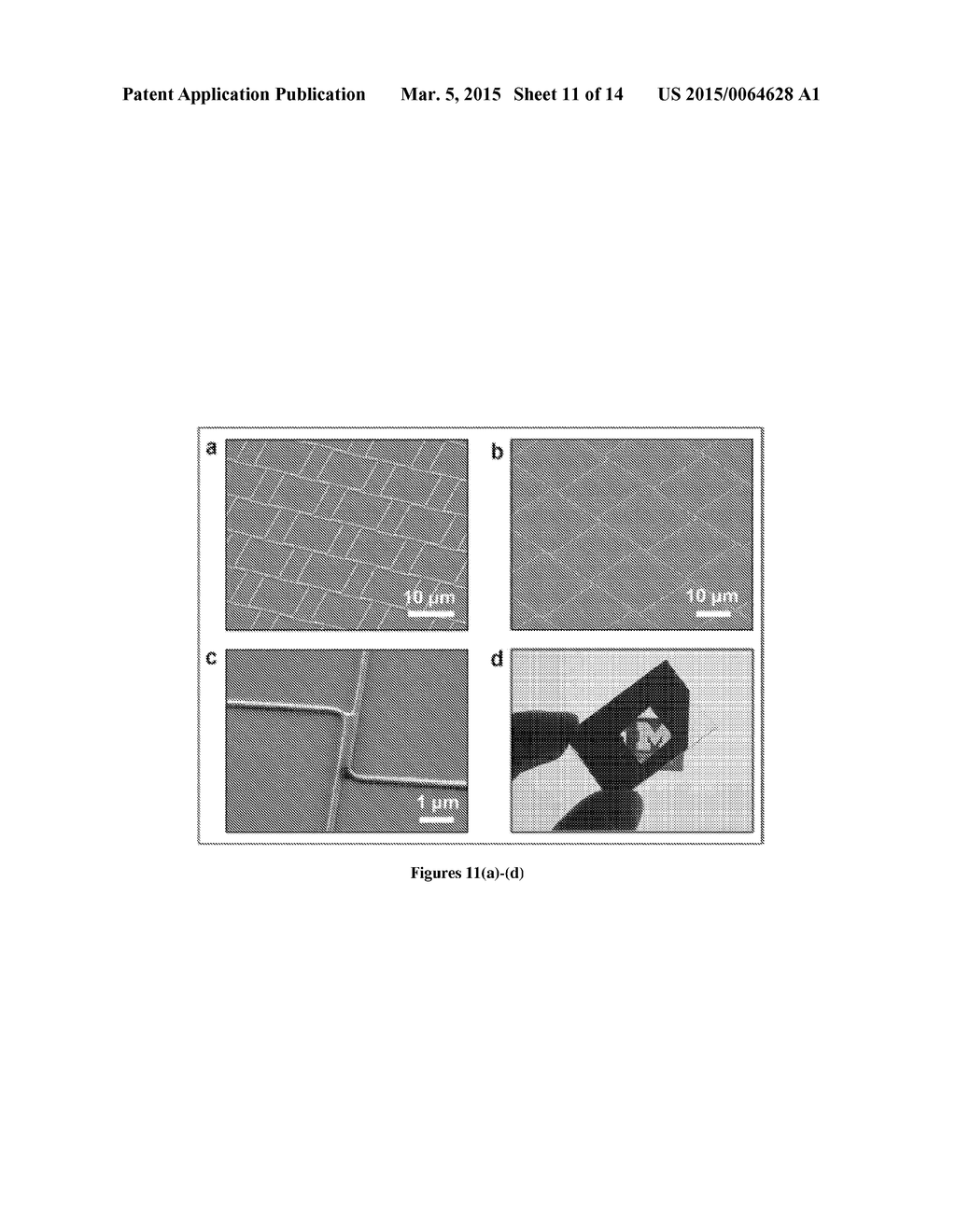 METHODS FOR MAKING MICRO- AND NANO-SCALE CONDUCTIVE GRIDS FOR TRANSPARENT     ELECTRODES AND POLARIZERS BY ROLL TO ROLL OPTICAL LITHOGRAPHY - diagram, schematic, and image 12