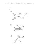 METHOD FOR DETECTING TARGET SUBSTANCE, ASSAY KIT, AND DETECTION APPARATUS diagram and image