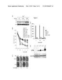 P53 COOPERATION WITH DNA METHYLATION AND SUICIDAL INTERFERON RESPONSE TO     CONTROL SILENCING OF REPEATS AND NCRNAS diagram and image